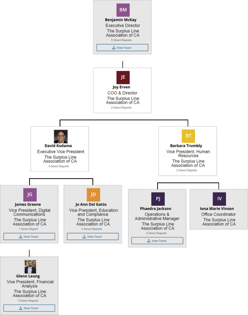 This image has an empty alt attribute; its file name is Erven_Joy-1-806x1024.jpg