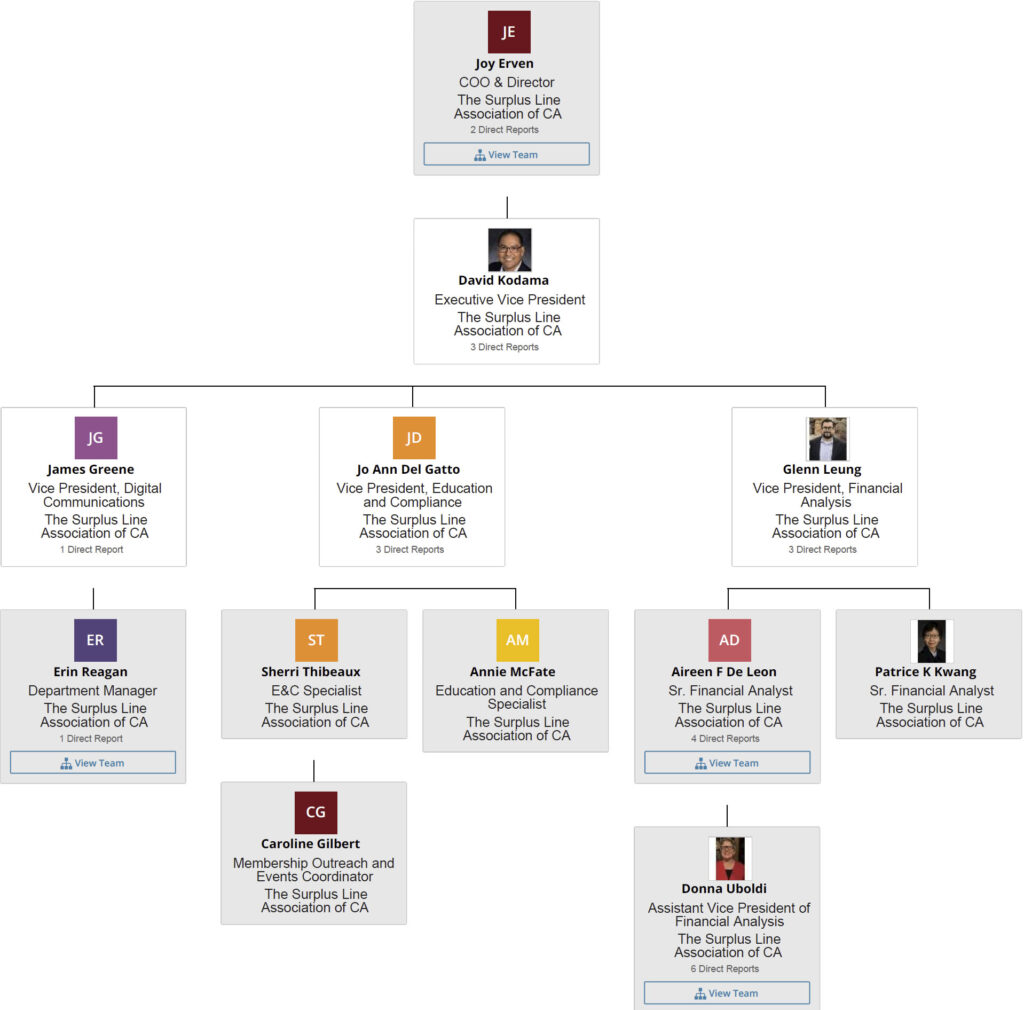 This image has an empty alt attribute; its file name is Erven_Joy-1024x1010.jpg